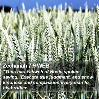Zechariah 7:9 WEB Bible Verse Image