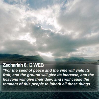 Zechariah 8:12 WEB Bible Verse Image