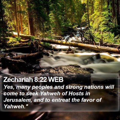 Zechariah 8:22 WEB Bible Verse Image
