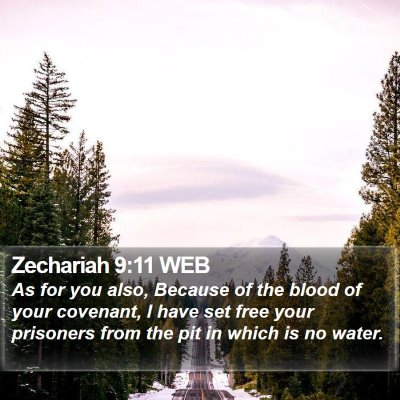 Zechariah 9:11 WEB Bible Verse Image