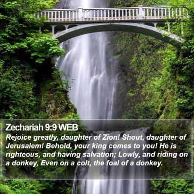 Zechariah 9:9 WEB Bible Verse Image