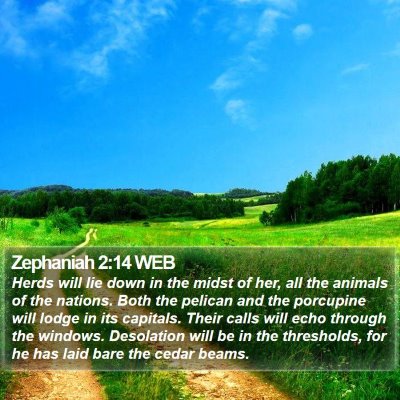 Zephaniah 2:14 WEB Bible Verse Image