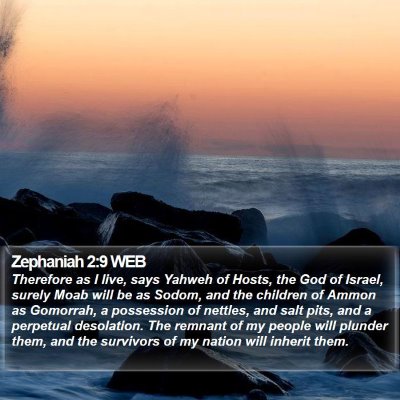 Zephaniah 2:9 WEB Bible Verse Image