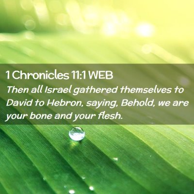 Picture 02 - 1 Chronicles 11:1 WEB - Then all Israel gathered themselves to David to - Bible Verse Picture