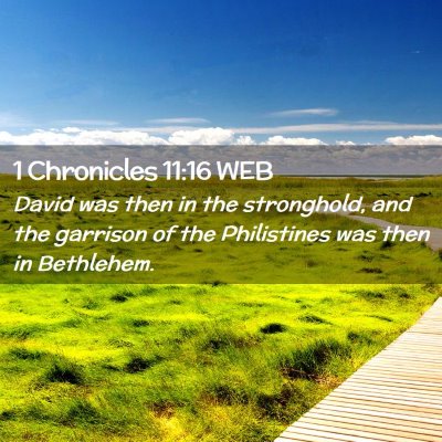 Picture 02 - 1 Chronicles 11:16 WEB - David was then in the stronghold, and the - Bible Verse Picture