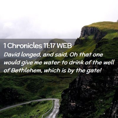 Picture 02 - 1 Chronicles 11:17 WEB - David longed, and said, Oh that one would give me - Bible Verse Picture