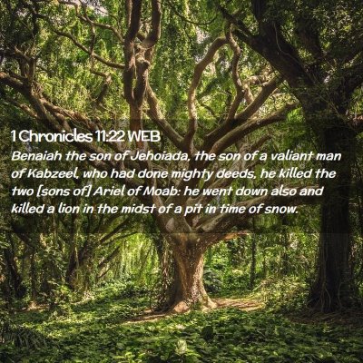 Picture 02 - 1 Chronicles 11:22 WEB - Benaiah the son of Jehoiada, the son of a valiant - Bible Verse Picture