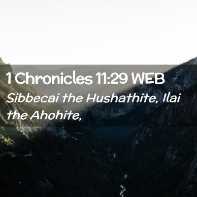 Picture 02 - 1 Chronicles 11:29 WEB - Sibbecai the Hushathite, Ilai the - Bible Verse Picture