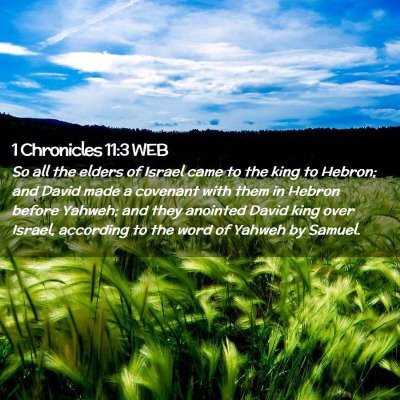 Picture 02 - 1 Chronicles 11:3 WEB - So all the elders of Israel came to the king to - Bible Verse Picture