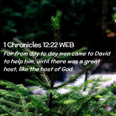 Picture 02 - 1 Chronicles 12:22 WEB - For from day to day men came to David to help - Bible Verse Picture