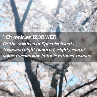 Picture 02 - 1 Chronicles 12:30 WEB - Of the children of Ephraim twenty thousand eight - Bible Verse Picture