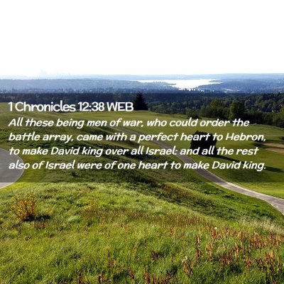 Picture 02 - 1 Chronicles 12:38 WEB - All these being men of war, who could order the - Bible Verse Picture