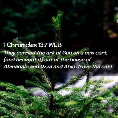 Picture 02 - 1 Chronicles 13:7 WEB - They carried the ark of God on a new cart, [and - Bible Verse Picture