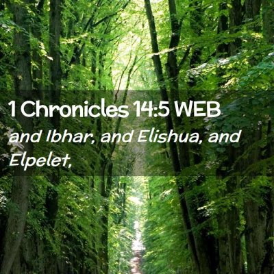Picture 02 - 1 Chronicles 14:5 WEB - and Ibhar, and Elishua, and - Bible Verse Picture