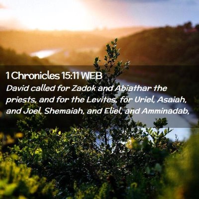 Picture 02 - 1 Chronicles 15:11 WEB - David called for Zadok and Abiathar the priests, - Bible Verse Picture
