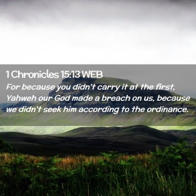 Picture 02 - 1 Chronicles 15:13 WEB - For because you didn't carry it at the first, - Bible Verse Picture
