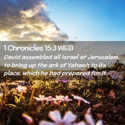 Picture 02 - 1 Chronicles 15:3 WEB - David assembled all Israel at Jerusalem, to bring - Bible Verse Picture