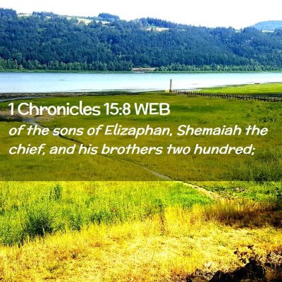 Picture 02 - 1 Chronicles 15:8 WEB - of the sons of Elizaphan, Shemaiah the chief, and - Bible Verse Picture