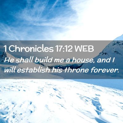 Picture 02 - 1 Chronicles 17:12 WEB - He shall build me a house, and I will establish - Bible Verse Picture