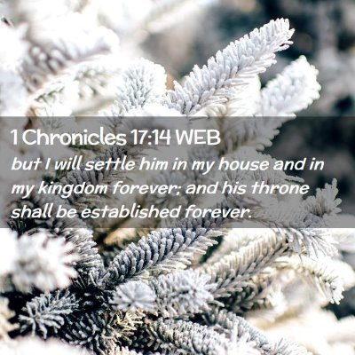 Picture 02 - 1 Chronicles 17:14 WEB - but I will settle him in my house and in my - Bible Verse Picture