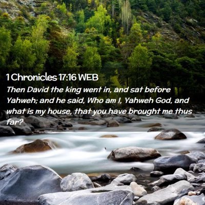 Picture 02 - 1 Chronicles 17:16 WEB - Then David the king went in, and sat before - Bible Verse Picture