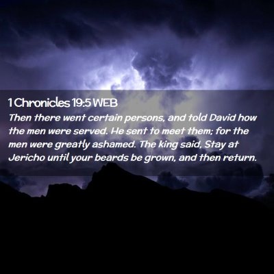 Picture 02 - 1 Chronicles 19:5 WEB - Then there went certain persons, and told David - Bible Verse Picture