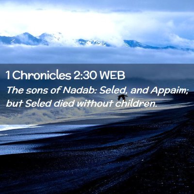 Picture 02 - 1 Chronicles 2:30 WEB - The sons of Nadab: Seled, and Appaim; but Seled - Bible Verse Picture