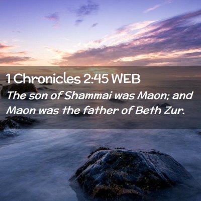 Picture 02 - 1 Chronicles 2:45 WEB - The son of Shammai was Maon; and Maon was the - Bible Verse Picture