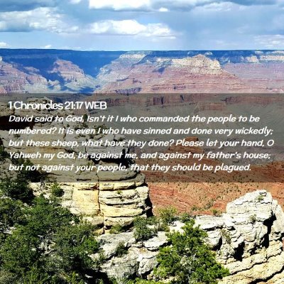 Picture 02 - 1 Chronicles 21:17 WEB - David said to God, Isn't it I who commanded the - Bible Verse Picture