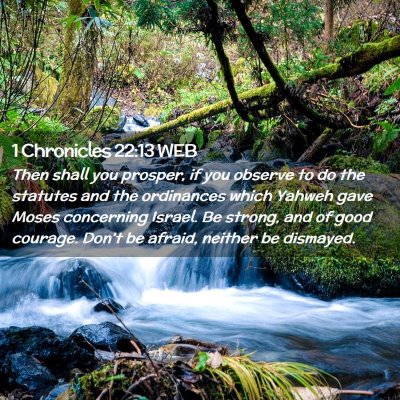 Picture 02 - 1 Chronicles 22:13 WEB - Then shall you prosper, if you observe to do the - Bible Verse Picture