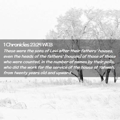 Picture 02 - 1 Chronicles 23:24 WEB - These were the sons of Levi after their fathers' - Bible Verse Picture