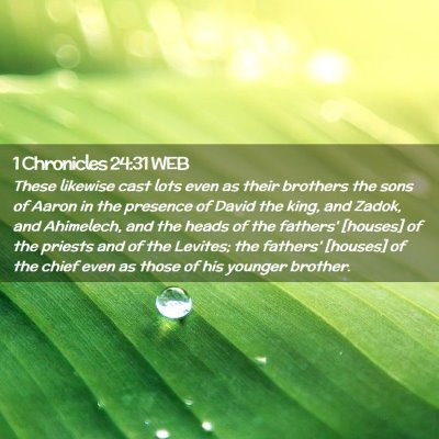 Picture 02 - 1 Chronicles 24:31 WEB - These likewise cast lots even as their brothers - Bible Verse Picture