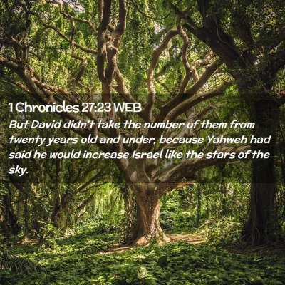 Picture 02 - 1 Chronicles 27:23 WEB - But David didn't take the number of them from - Bible Verse Picture