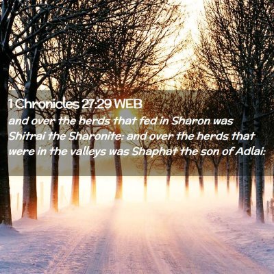 Picture 02 - 1 Chronicles 27:29 WEB - and over the herds that fed in Sharon was Shitrai - Bible Verse Picture