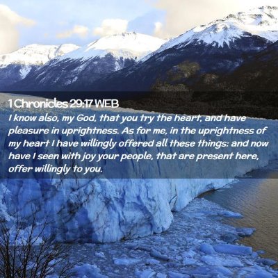Picture 02 - 1 Chronicles 29:17 WEB - I know also, my God, that you try the heart, and - Bible Verse Picture