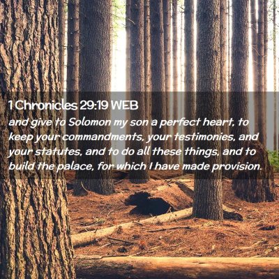 Picture 02 - 1 Chronicles 29:19 WEB - and give to Solomon my son a perfect heart, to - Bible Verse Picture