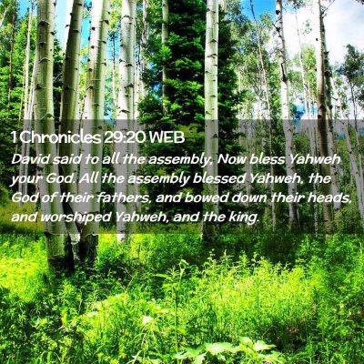 Picture 02 - 1 Chronicles 29:20 WEB - David said to all the assembly, Now bless Yahweh - Bible Verse Picture