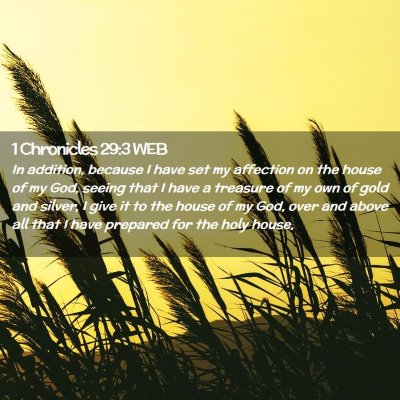 Picture 02 - 1 Chronicles 29:3 WEB - In addition, because I have set my affection on - Bible Verse Picture