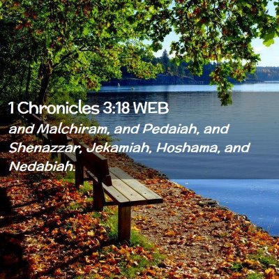 Picture 02 - 1 Chronicles 3:18 WEB - and Malchiram, and Pedaiah, and Shenazzar, - Bible Verse Picture