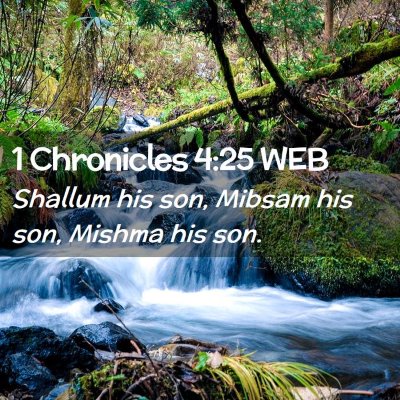 Picture 02 - 1 Chronicles 4:25 WEB - Shallum his son, Mibsam his son, Mishma his - Bible Verse Picture