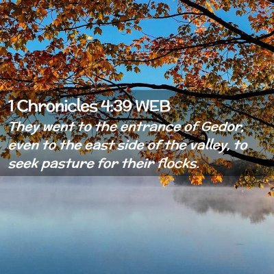 Picture 02 - 1 Chronicles 4:39 WEB - They went to the entrance of Gedor, even to the - Bible Verse Picture