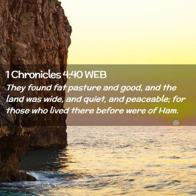 Picture 02 - 1 Chronicles 4:40 WEB - They found fat pasture and good, and the land was - Bible Verse Picture