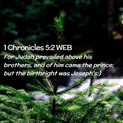 Picture 02 - 1 Chronicles 5:2 WEB - For Judah prevailed above his brothers, and of - Bible Verse Picture