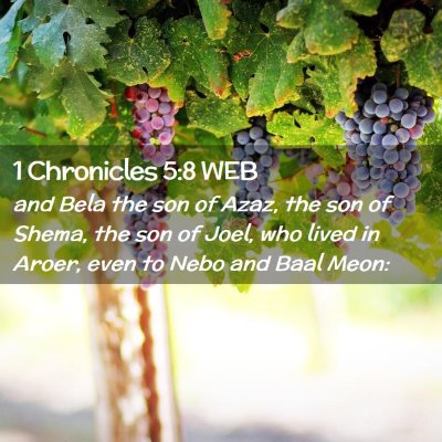 Picture 02 - 1 Chronicles 5:8 WEB - and Bela the son of Azaz, the son of Shema, the - Bible Verse Picture