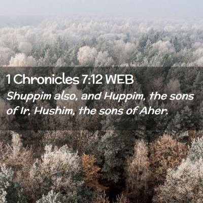 Picture 02 - 1 Chronicles 7:12 WEB - Shuppim also, and Huppim, the sons of Ir, Hushim, - Bible Verse Picture