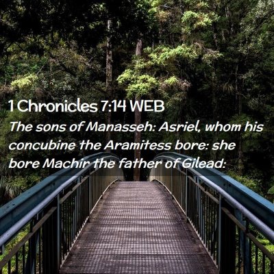 Picture 02 - 1 Chronicles 7:14 WEB - The sons of Manasseh: Asriel, whom his concubine - Bible Verse Picture