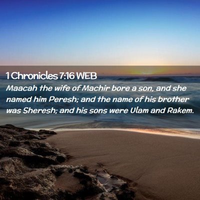 Picture 02 - 1 Chronicles 7:16 WEB - Maacah the wife of Machir bore a son, and she - Bible Verse Picture