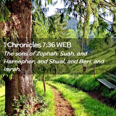 Picture 02 - 1 Chronicles 7:36 WEB - The sons of Zophah: Suah, and Harnepher, and - Bible Verse Picture