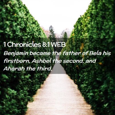 Picture 02 - 1 Chronicles 8:1 WEB - Benjamin became the father of Bela his firstborn, - Bible Verse Picture