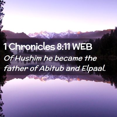 Picture 02 - 1 Chronicles 8:11 WEB - Of Hushim he became the father of Abitub and - Bible Verse Picture
